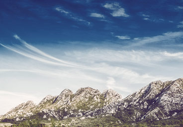 激活平台正规的DDOS网页端